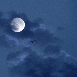 ラプンツェル（翻自 初音ミク）