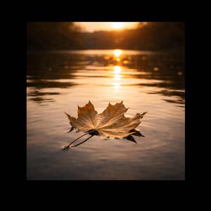 LÁ THU PHAI (Chill Club Mix)