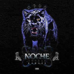 NOCHE