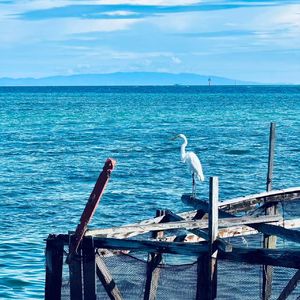 醒来是我与我一千零一次相遇