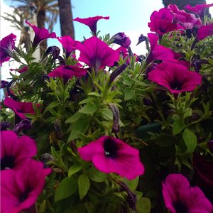 El Problema De Sentir