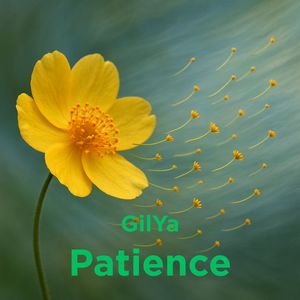 Patience