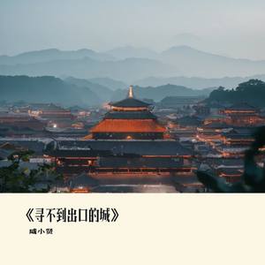 《城中待你归的歌》