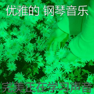 微妙的咖啡店心情