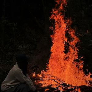 晚夜微雨问海棠