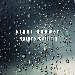 밤에 내리는 소나기