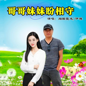 哥哥妹妹盼相守 (DJ版)