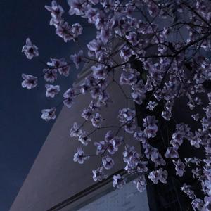 IMG_2022-04-02_16:13:27_0