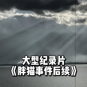 大型纪录片《胖猫后续》