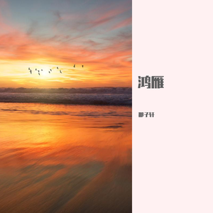 鸿雁