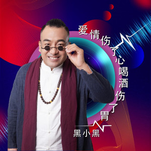 爱情伤了心啤酒伤了胃 (DJ默涵版伴奏)