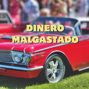 Dinero Malgastado