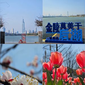 Jinling（Bossa Nova Female1）