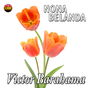 Nona Belanda