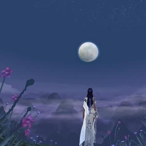 夜来寒雨晓来风（笛子）