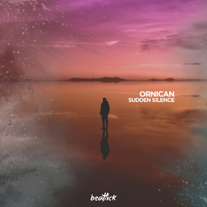 Sudden Silence (Extended Mix)