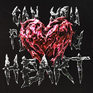 Can You Feel My Heart