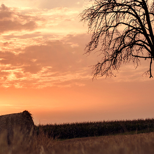 我们说好地幸福呢