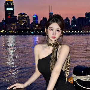 放生DJ（车载版）