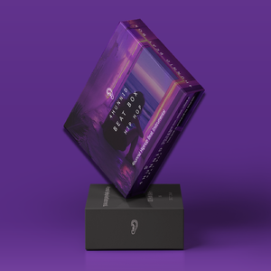 Drake x Trapsoul Type Beat "Sonder"