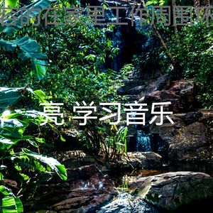 微妙的正在学习心情