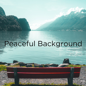 편안한 물 소리