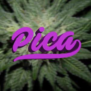 Pica