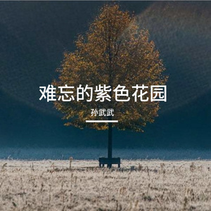 难忘的紫色花园