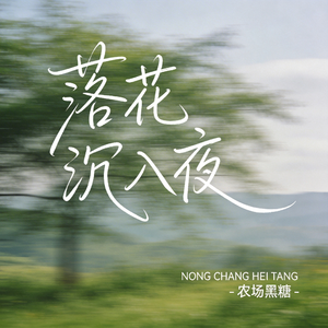 落花沉入夜（原版）