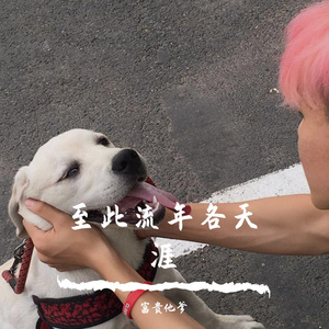 至此流年各天涯