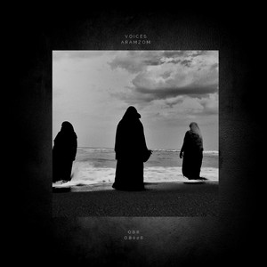 ACIID (Original Mix)
