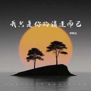 我只是你的消遣而已