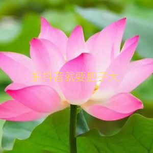 拍抖音就要胆子大