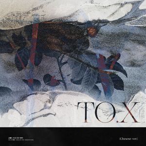 To. X(中填版)