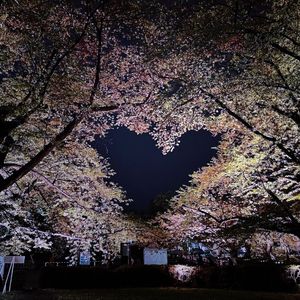 忆难平(feat.KING杨凯钧）