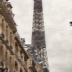 Grieving Macronutrient