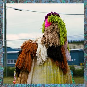 Someone Egged My Car