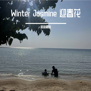 Winter Jasmine  迎春花