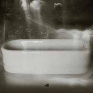 a coyote grew a flower on his back