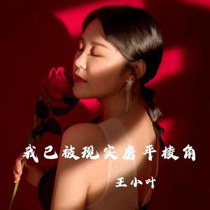 我已被现实磨平棱角