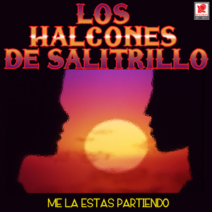 Lecho De Agonía