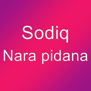 Nara pidana