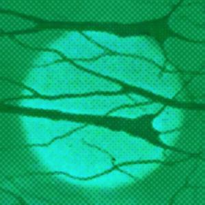 Lightnings on a beach