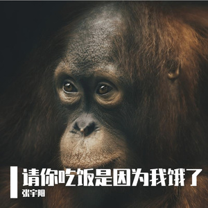 请你吃饭是因为我饿了