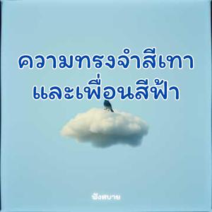 ความทรงจำ สีเทาและเพื่อนสีฟ้า