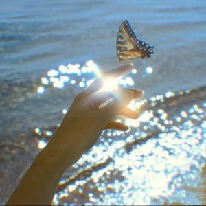 valentine(爱慕的人)