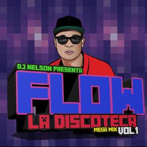 Flow la Discoteca Mega Mix, Vol.1
