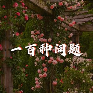 一百种问题（prod by LouisVillain）