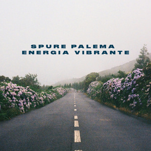 Energia Vibrante