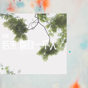 后来喜欢一个人
